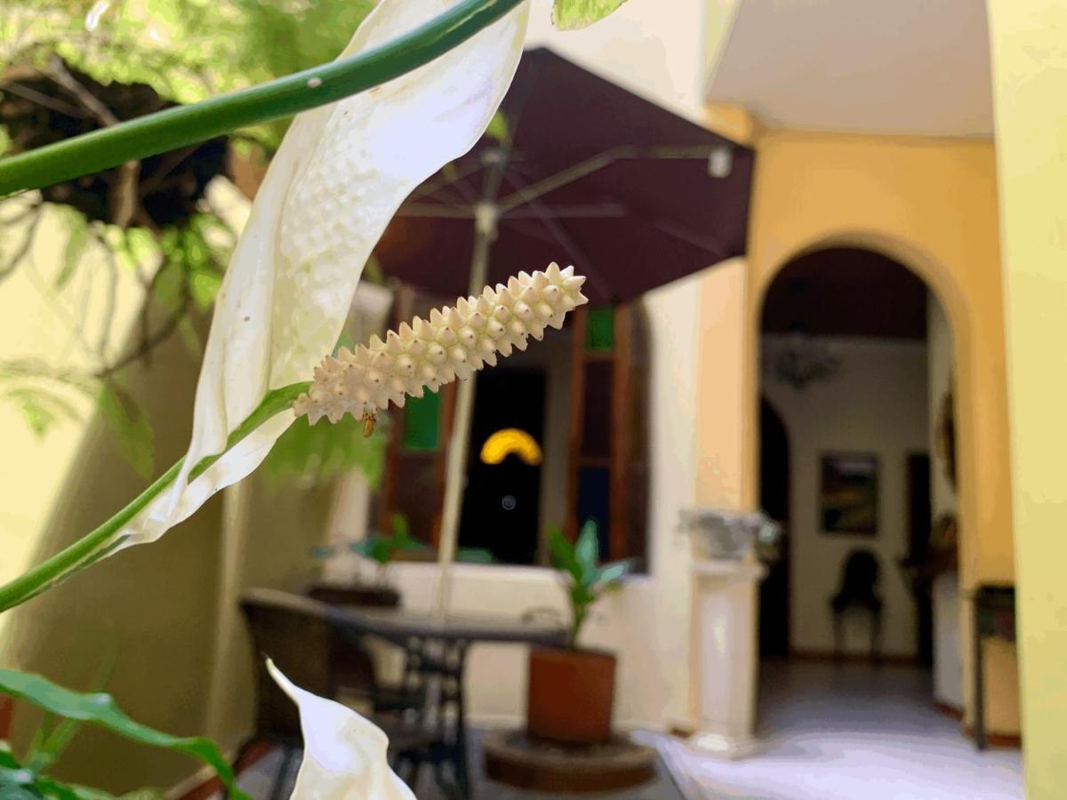Casa Grande Apartment เมเดยิน ภายนอก รูปภาพ